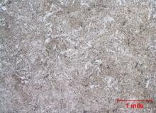 Microstructure in the etched (2% Nital) condition consists of primarily martensite with sulfide inclusions_0